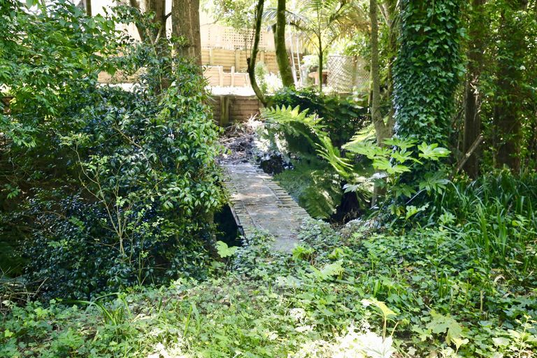 Photo of property in 66 Pelorus Street, Glenview, Hamilton, 3206