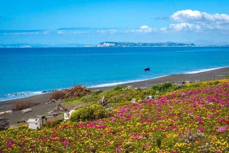 Photo of property in 242 Whirinaki Road, Eskdale, Napier, 4182