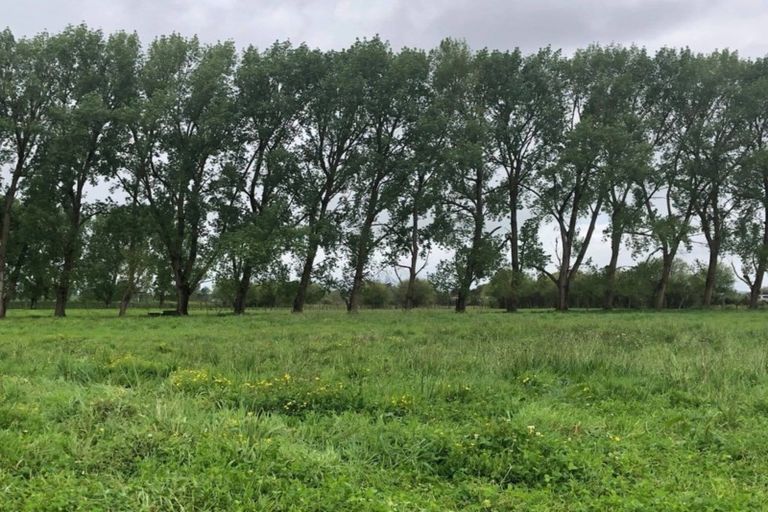 Photo of property in 75 Paetai Road, Ohinewai, Te Kauwhata, 3771