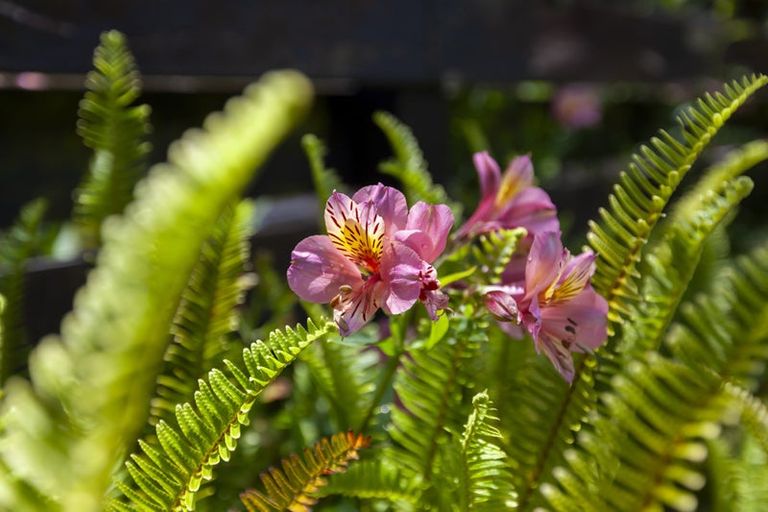 Photo of property in 25a Manawa Avenue, Raumati Beach, Paraparaumu, 5032