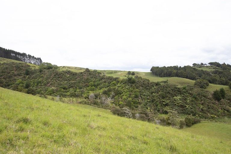 Photo of property in 158 Kereru Lane, Kaiwaka, 0573