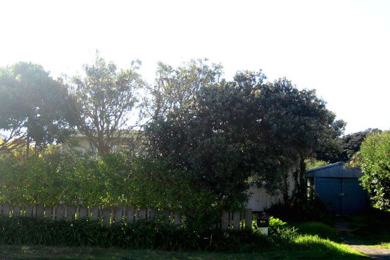 Photo of property in 20 Koromiko Street, Otaki Beach, Otaki, 5512