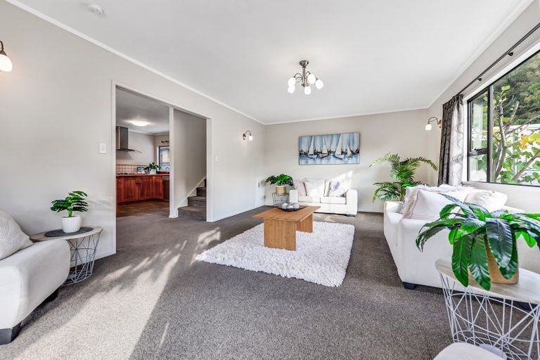 Photo of property in 58 Boundary Road, Claudelands, Hamilton, 3214