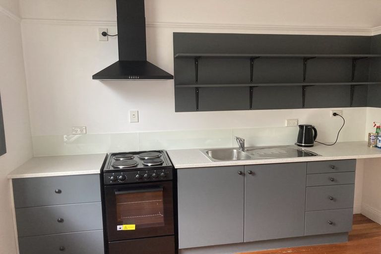 Photo of property in 16 Ann Street, Roslyn, Dunedin, 9010