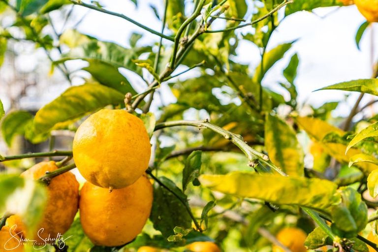 Photo of property in 147 Petley Road, Paparoa, 0571