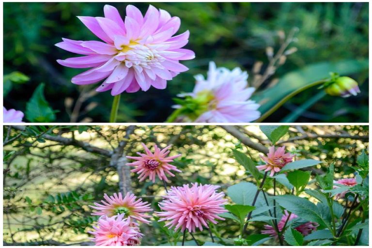 Photo of property in 32 Roberts Road, Lansdowne, Masterton, 5810