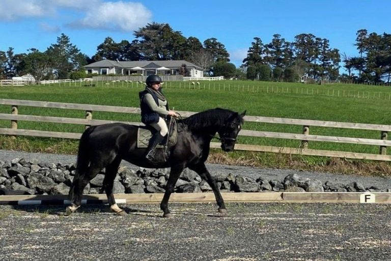 Photo of property in 270 Ireland Road, Waitoki, Kaukapakapa, 0871