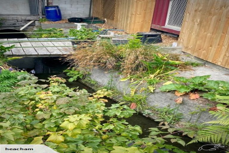 Photo of property in 504 Manchester Street, St Albans, Christchurch, 8014