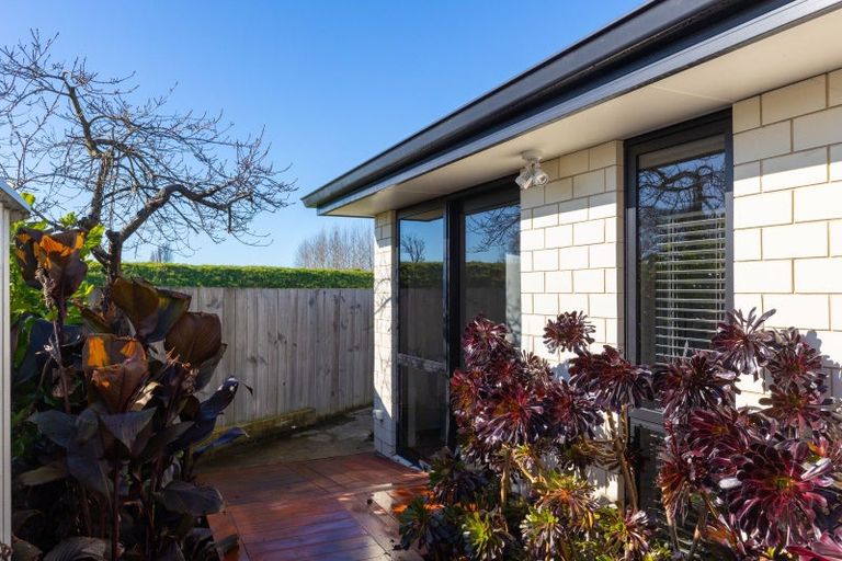 Photo of property in 22a Waipuna Street, Mayfield, Blenheim, 7201