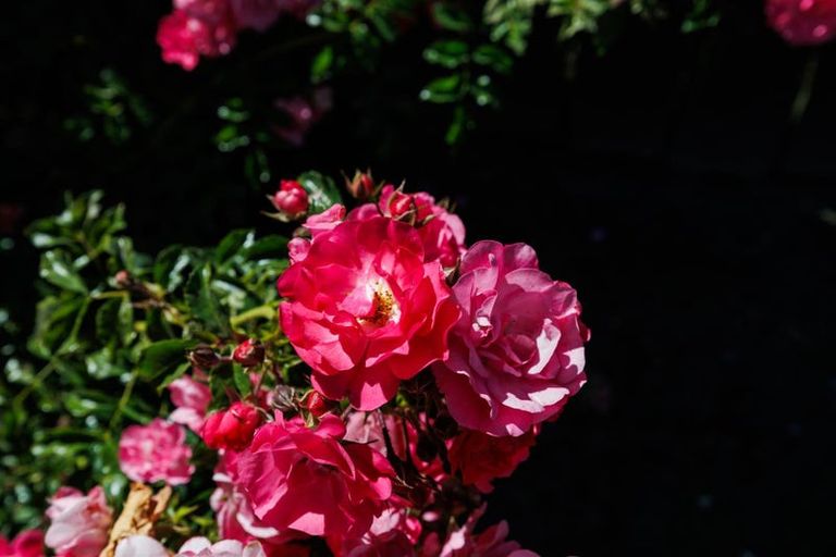 Photo of property in 10 Dalrymple Place, Marton, 4710