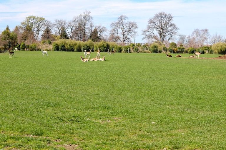 Photo of property in 24 Meadowlinks Lane, Pleasant Point, Timaru, 7974