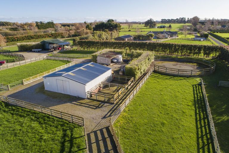 Photo of property in 33 Silkwood Place, Fitzherbert, Palmerston North, 4410