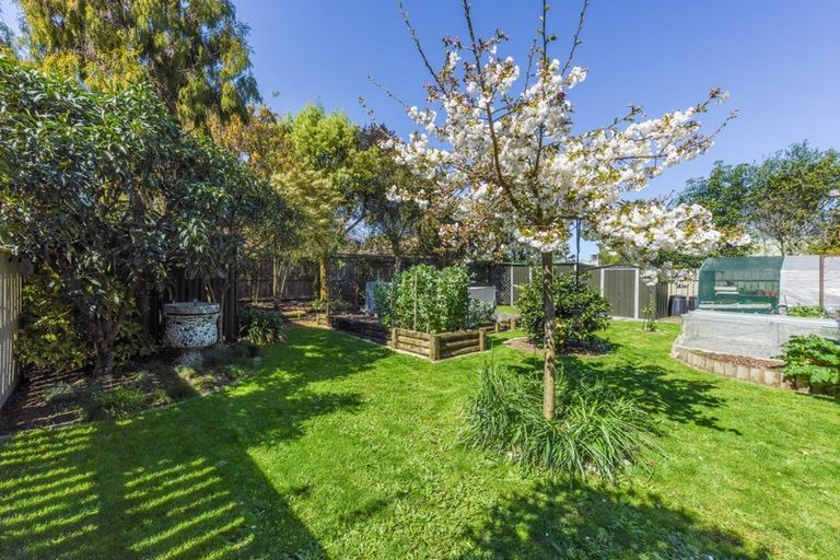 Photo of property in 72 Iwa Street, Mapua, 7005