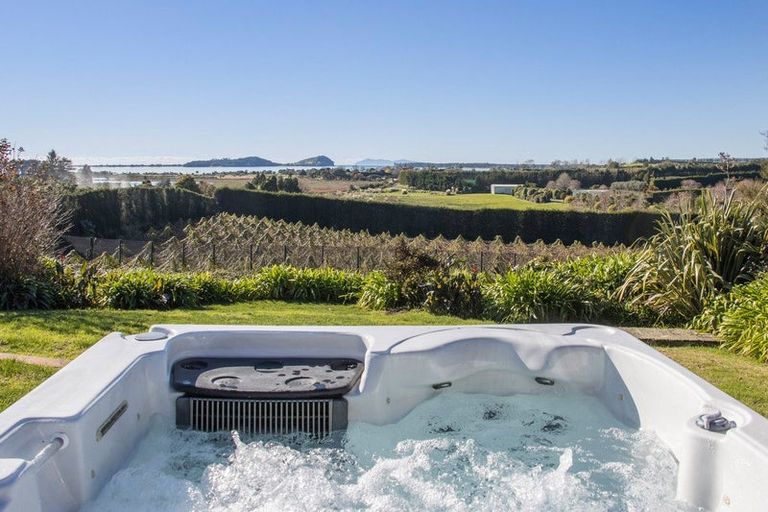 Photo of property in 252 Tuapiro Road, Tahawai, Katikati, 3170