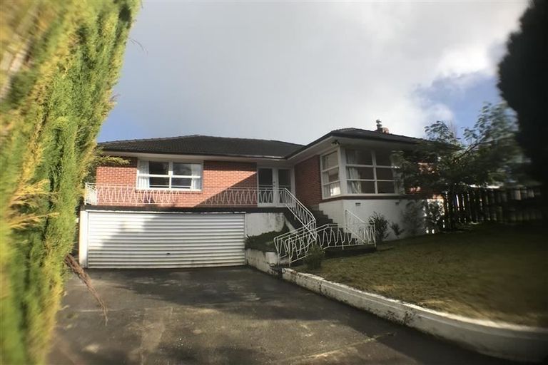 Photo of property in 116 Fred Taylor Drive, Westgate, Auckland, 0814