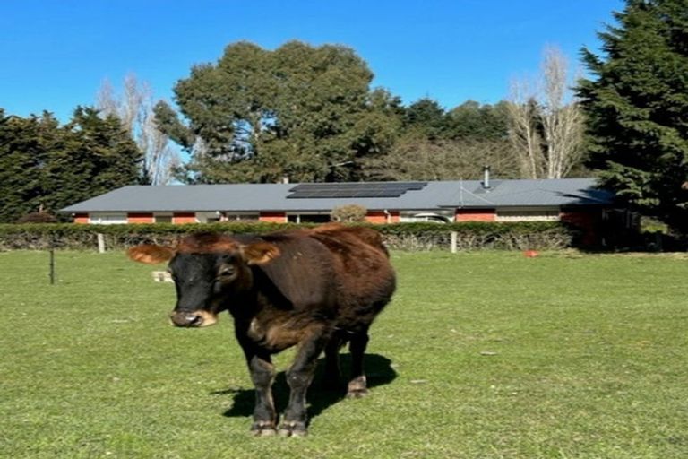 Photo of property in 152 Smithfield Road, Elgin, Ashburton, 7772