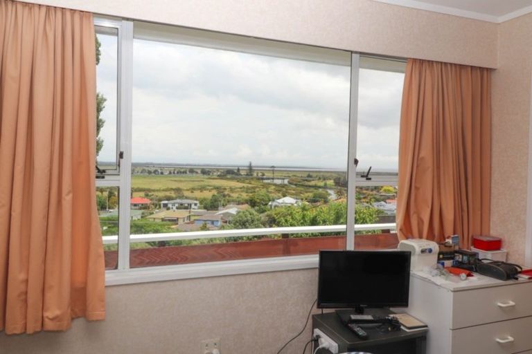 Photo of property in 113 Brunton Crescent, Thames, 3500