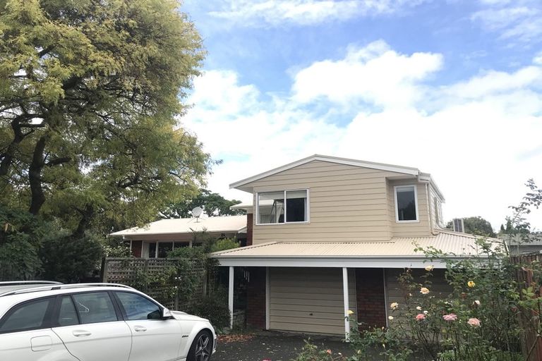 Photo of property in 4 Colman Street, Queenwood, Hamilton, 3210