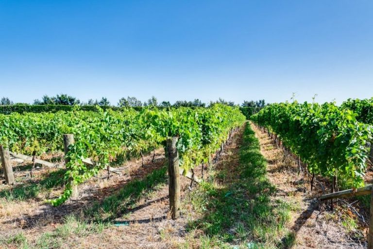 Photo of property in 238 Stock Road, Bridge Pa, Hastings, 4175