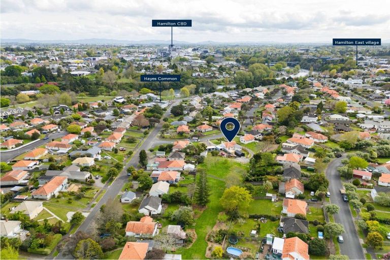 Photo of property in 48 Galway Avenue, Hamilton East, Hamilton, 3216