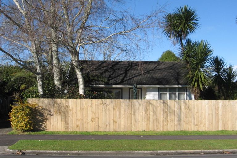 Photo of property in 88 Alfred Street, Fairfield, Hamilton, 3214