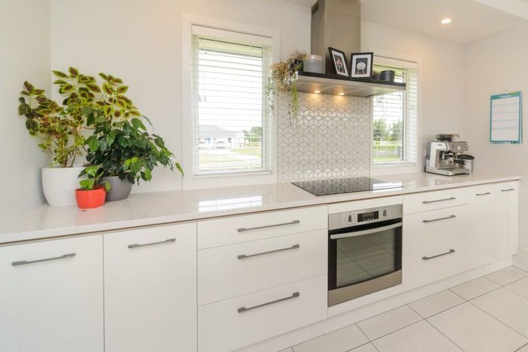 Photo of property in 60 Wapiti Avenue, Feilding, 4775