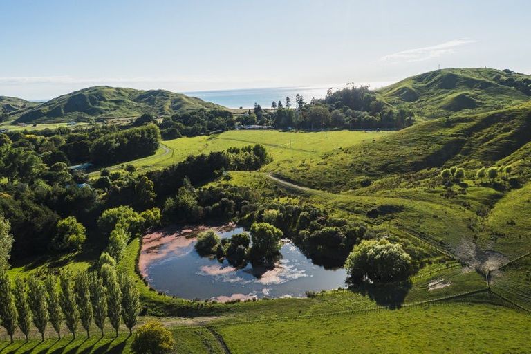 Photo of property in 6/3360 Pourerere Road, Pourerere, Waipawa, 4271