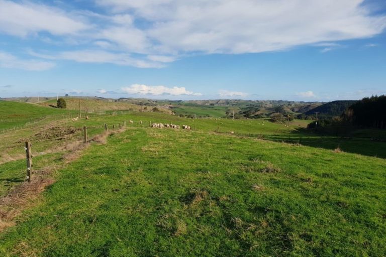 Photo of property in 169 Halliday Road, Waingaro, Ngaruawahia, 3793