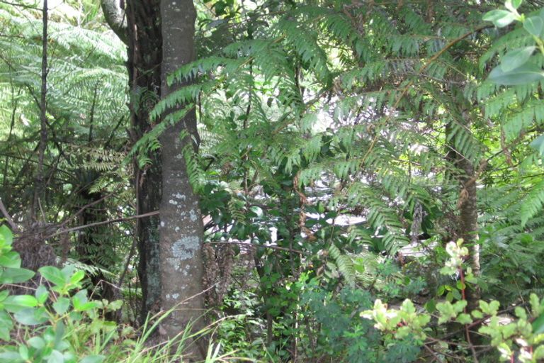 Photo of property in 207 Atkinson Road, Titirangi, Auckland, 0604