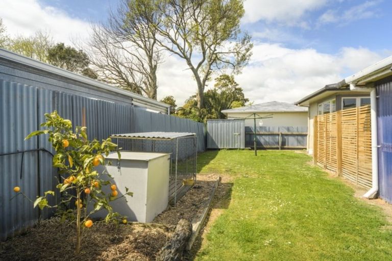 Photo of property in 17 Forbury Avenue, Takaro, Palmerston North, 4412
