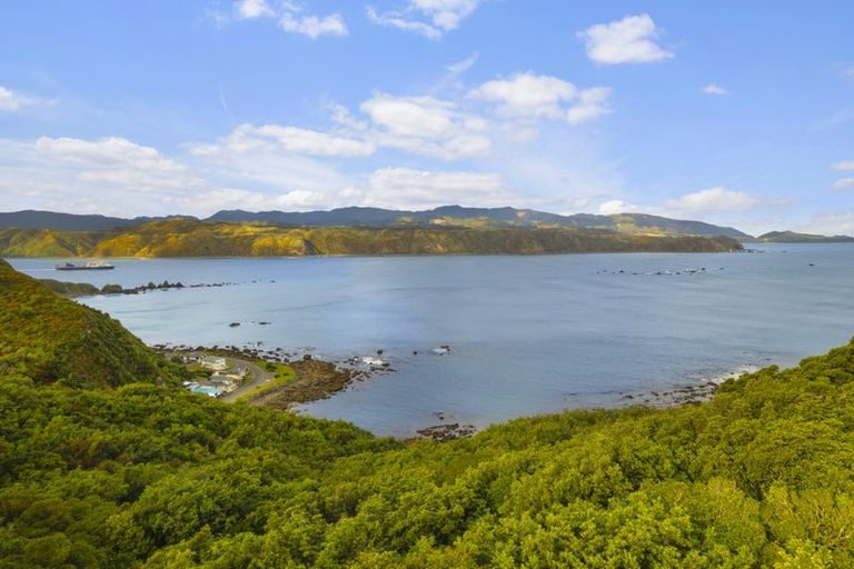 Photo of property in 77 Sidlaw Street, Strathmore Park, Wellington, 6022