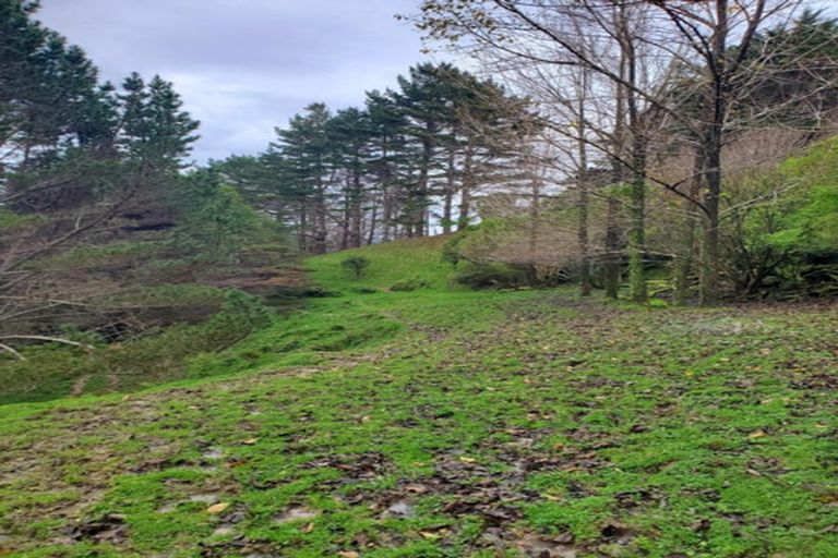 Photo of property in 482 Krippner Road, Puhoi, Warkworth, 0994