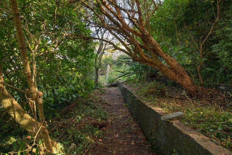 Photo of property in 40 Leckhampton Court, Clyde Hill, Dunedin, 9011