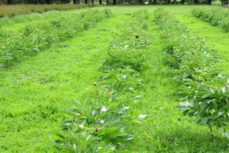 Photo of property in 237 School Road, West Eyreton, Rangiora, 7475