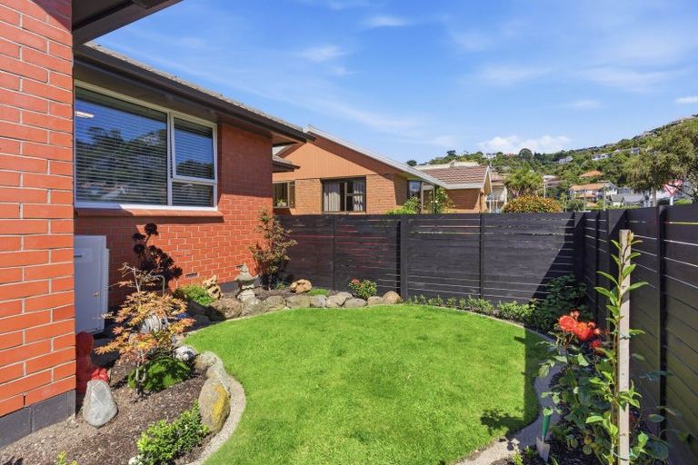 Photo of property in 20 Albert Street, Saint Clair, Dunedin, 9012