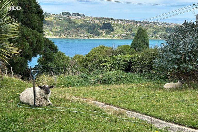 Photo of property in 20 Manuka Street, Ravensbourne, Dunedin, 9022