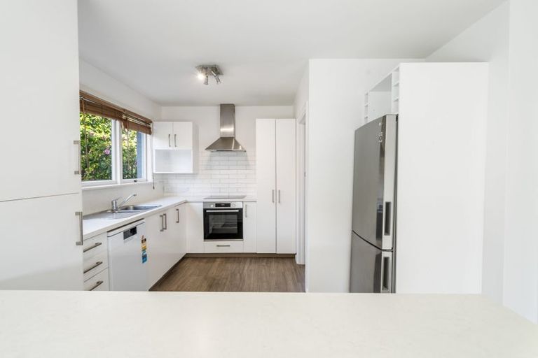 Photo of property in 283 Waimairi Road, Ilam, Christchurch, 8041