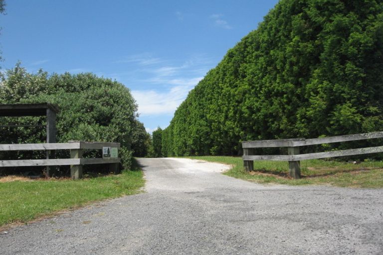 Photo of property in 314a Kauri Point Road, Tahawai, Katikati, 3170