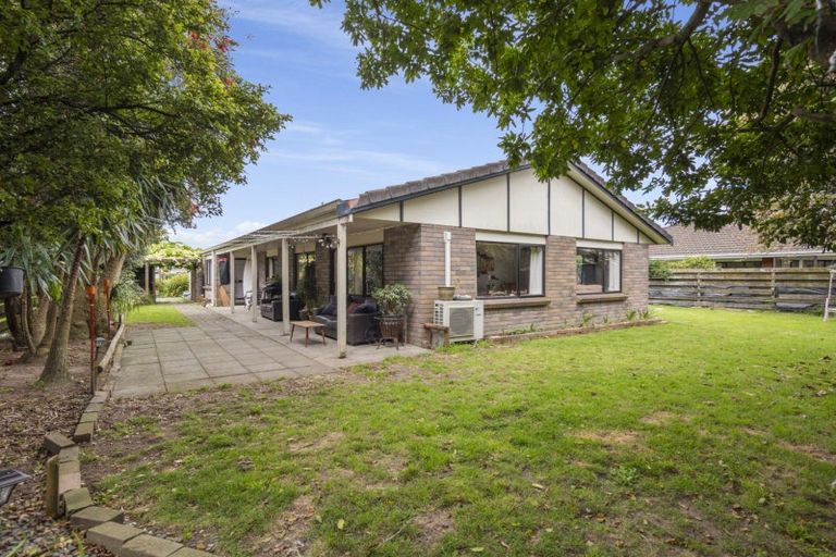 Photo of property in 15 Marwood Place, Mount Maunganui, 3116