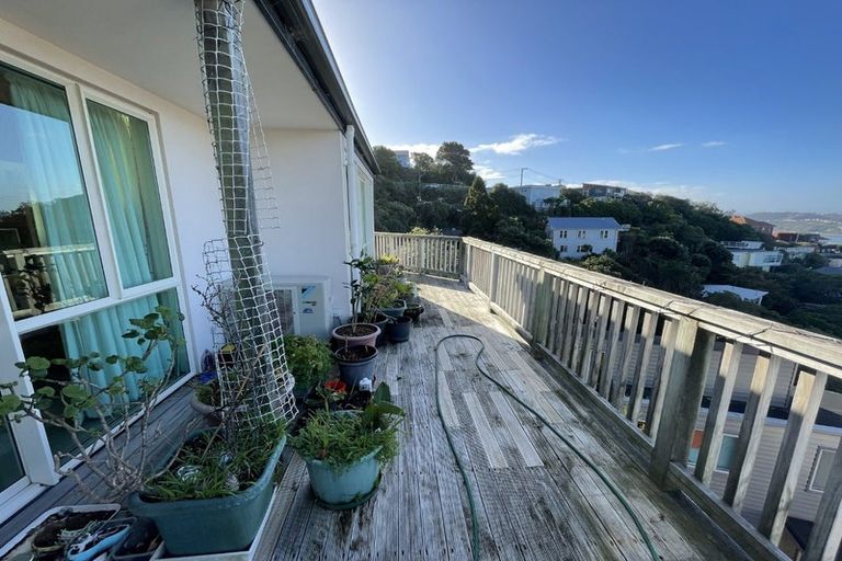 Photo of property in 51 Hornsey Road, Melrose, Wellington, 6023