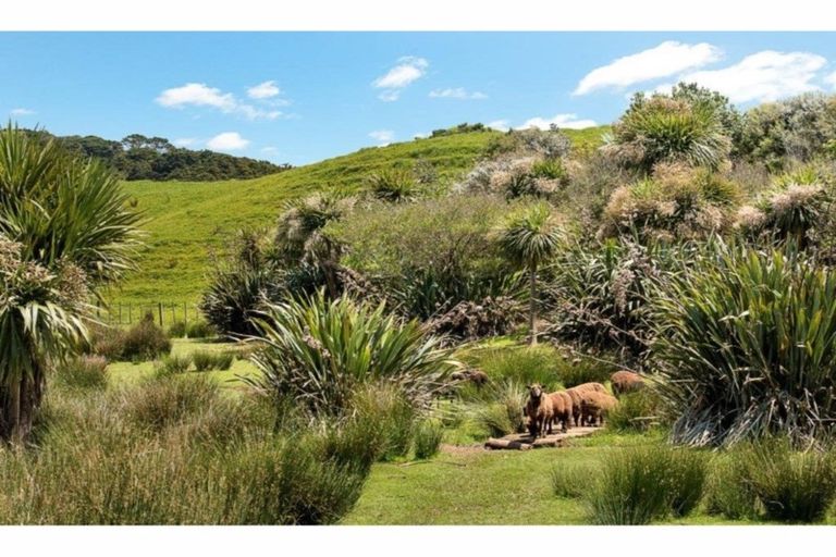 Photo of property in 42 Cemetery Road, Pollok, Waiuku, 2684