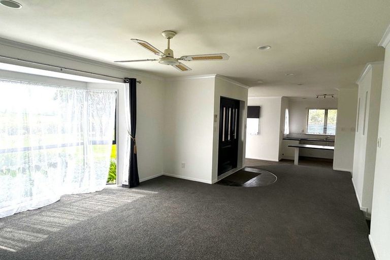 Photo of property in 225 Te Teko Road, Edgecumbe, Whakatane, 3193