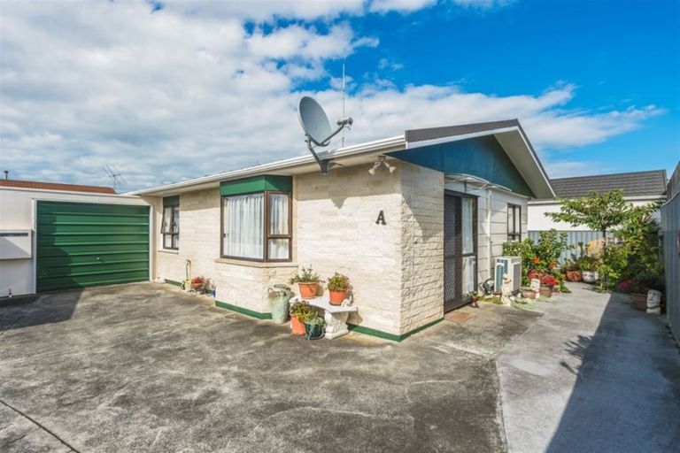 Photo of property in 27a Treadwell Street, Springvale, Whanganui, 4501