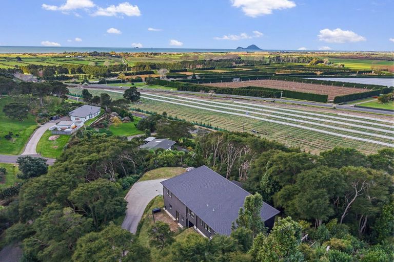 Photo of property in 3 Kereru Lane, Matata, 3194