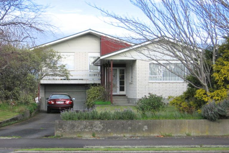Photo of property in 4 Manson Street, Terrace End, Palmerston North, 4410