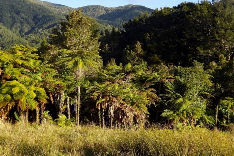 Photo of property in 875 Umere Road, Karamea, 7893