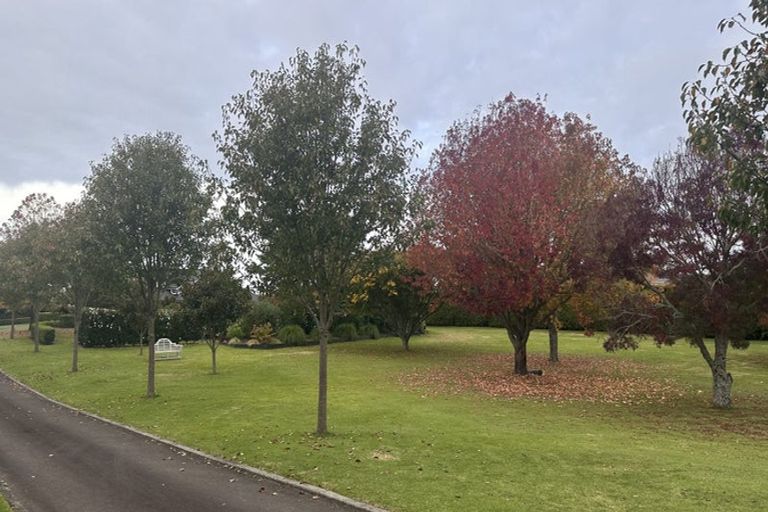Photo of property in 20 Kayelene Place, Omokoroa, 3114