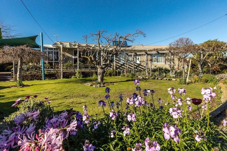 Photo of property in 9 Goulter Street, Seddon, 7210