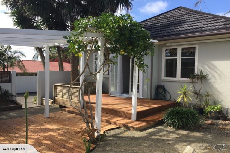 Photo of property in 17 Massey Avenue, Greenlane, Auckland, 1061