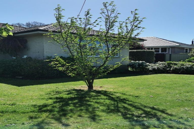 Photo of property in 43 Farrington Avenue, Bishopdale, Christchurch, 8053
